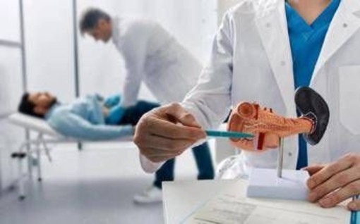 Tumore pancreas, team Aoui Verona e San Raffaele Milano vincono bando Fondazione Veronesi-Ficog Tumore pancreas, team Aoui Verona e San Raffaele Milano vincono bando Fondazione Veronesi-Ficog