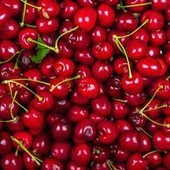 La ciliegia e le qualità 'nascoste', Calabrese: "Anche il gambo fa bene"