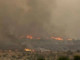 Israele in fiamme, l'appello di Hamas: &quot;Bruciate tutto per vendicare Gaza&quot;