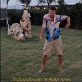 Cattelan non sarà a 'Ballando con le Stelle', la smentita arriva via social Cattelan non sarà a 'Ballando con le Stelle', la smentita arriva via social
