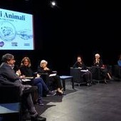 'Strani animali e altre storie', 20 racconti nati dai disegni dei bambini 'Strani animali e altre storie', 20 racconti nati dai disegni dei bambini