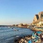 Palermo, alga tossica a Sferracavallo: divieto di balneazione