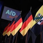 Elezioni in Sassonia, exit poll: Afd trionfa con 44,5% dei voti Elezioni in Sassonia, exit poll: Afd trionfa con 44,5% dei voti
