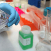 Tumori, al via studio per ridurre rischio recidive da cancro al seno Tumori, al via studio per ridurre rischio recidive da cancro al seno