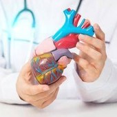 Cardiomiopatia ipertrofica ostruttiva: "Terapia innovativa efficace e sicura a 5 anni" Cardiomiopatia ipertrofica ostruttiva: "Terapia innovativa efficace e sicura a 5 anni"