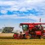 Cina, per la prima volta il raccolto di cereali estivi supera 150 mln tonnellate Cina, per la prima volta il raccolto di cereali estivi supera 150 mln tonnellate