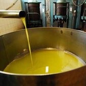 Unifol: "Per movimenti dell'olio sfuso﻿ sì alla bolla elettronica "