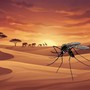 Giornata internazionale della zanzara (non in suo onore) per ricordare la lotta alla malaria